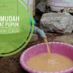 Cara Mudah Membuat Pupuk Organik Cair, Dengan Bahan-Bahan di Sekitar Kita