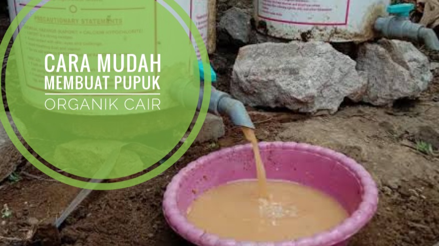 Cara Membuat Pupuk Organik Cari dari Bahan di Sekitar Kita