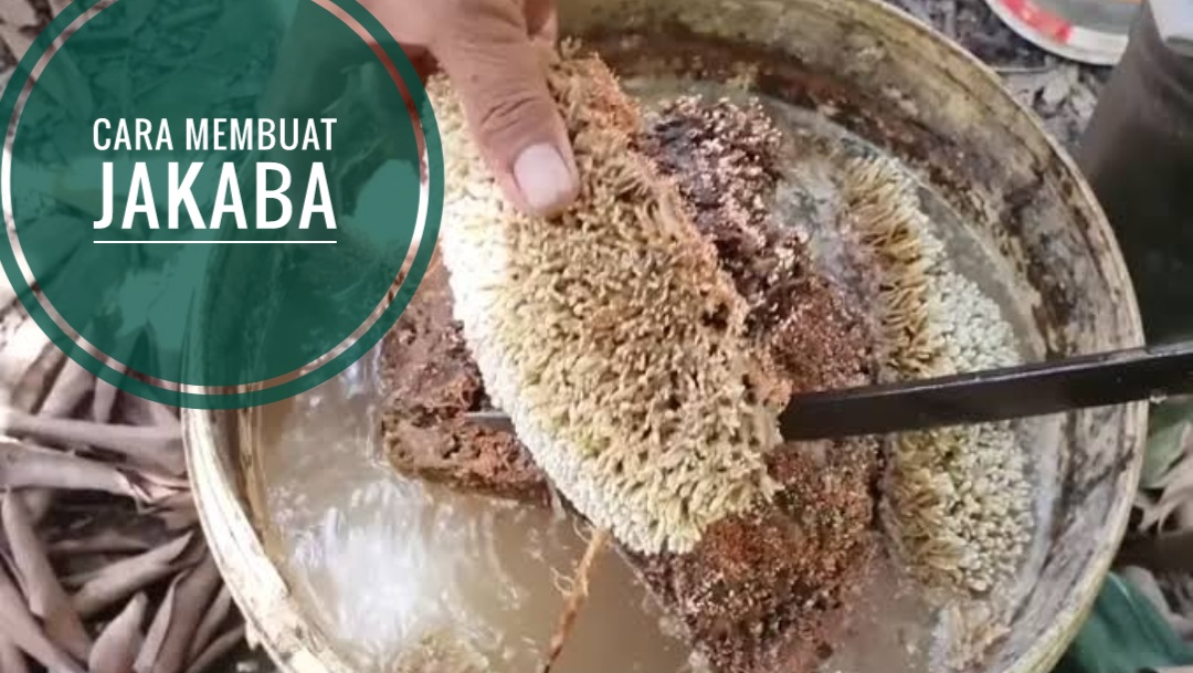 Cara Membuat Jakaba dari Ari Cucian Beras