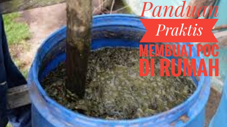 Cara Membuat Pupuk Organik Cair di Rumah