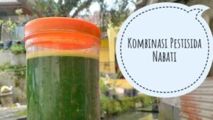 Cara Mebuat Pestisida Nabati