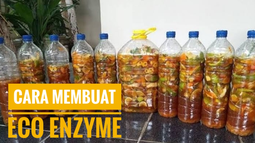 Cara Membuat Eco Enzyme dari Sampah Organik