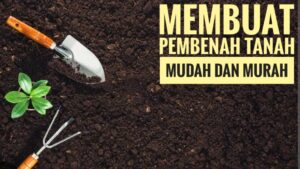 pembenah tanah paling dahsyat yang dapat membantu memperbaiki struktur tanah secara efektif dan ramah lingkungan