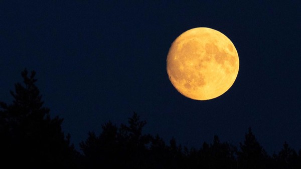 Buck Moon