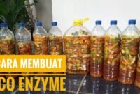 Cara Membuat Eco Enzyme dari Sampah Organik