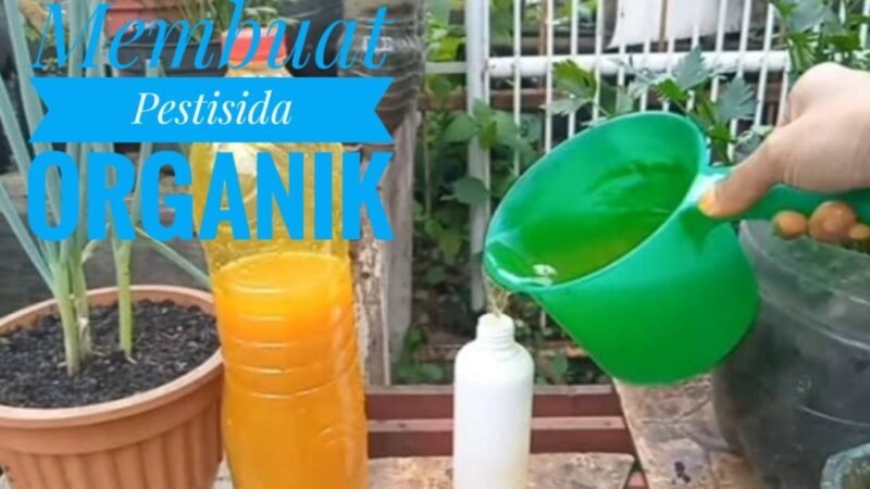 Cara Membuat Pestisida Organik Ampuh dari Bahan Alami untuk Kendalikan Hama Tanaman