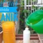 Cara Membuat Pestisida Organik Ampuh dari Bahan Alami untuk Kendalikan Hama Tanaman