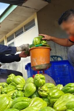 Panen Perdana, Lapas Curup Hasilkan 35 Kg Labu Siam dari Lahan Pembinaan