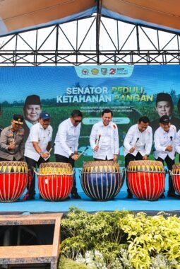 Produktivitas Jagung Bengkulu Lampaui Rata-Rata Nasional