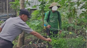 Lapas Curup Tingkatkan Produksi Pertanian Melalui Perawatan Intensif di SAE