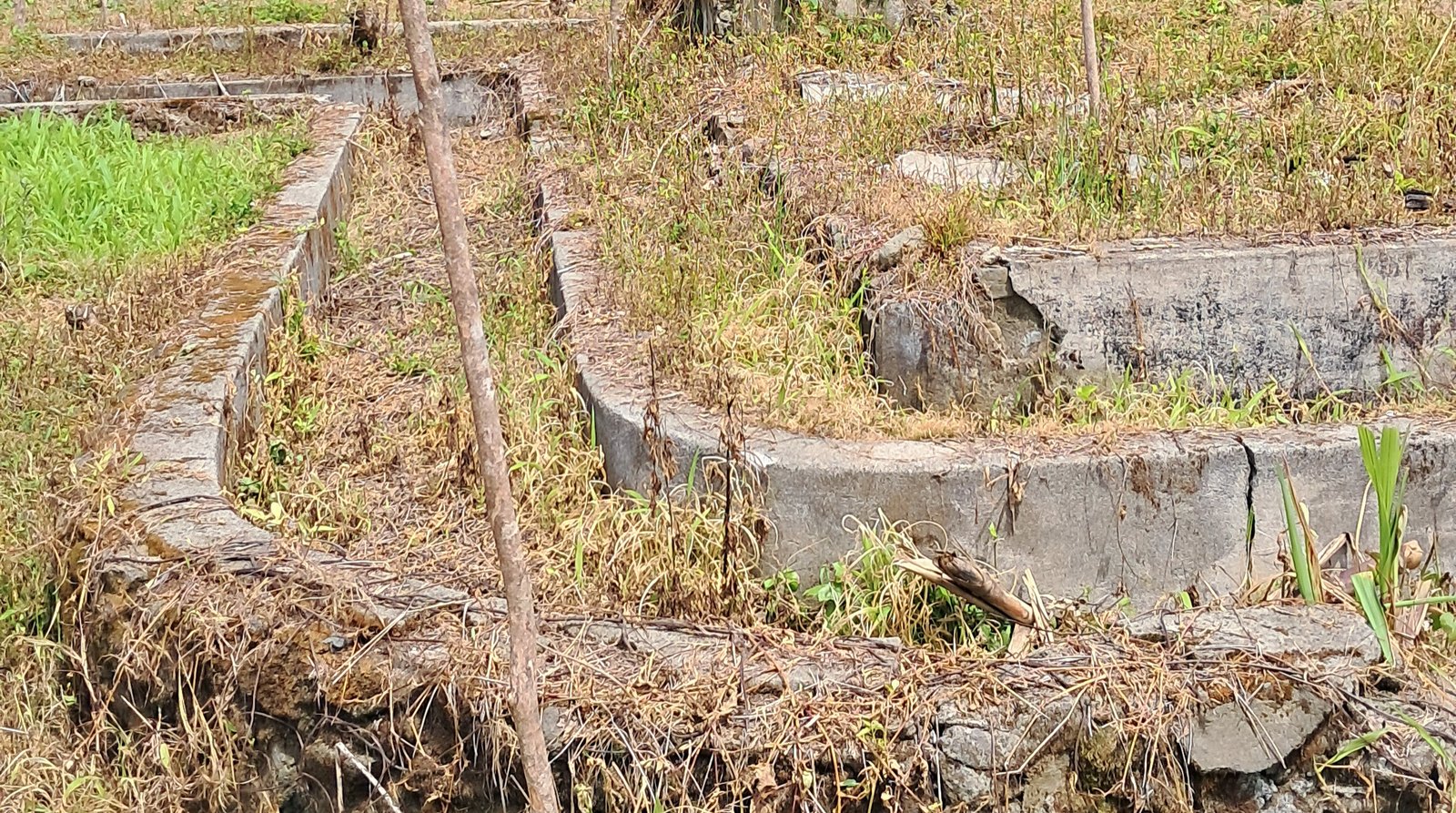 Rumah Sakit Paru Rejang Lebong
