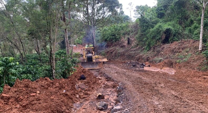 foto slider headline