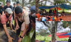 Idul Adha 1447 H, PLN IP UBP Bengkulu Sembelih Belasan Hewan Kurban & Bagikan 1.650 Paket Daging ke Masyarakat